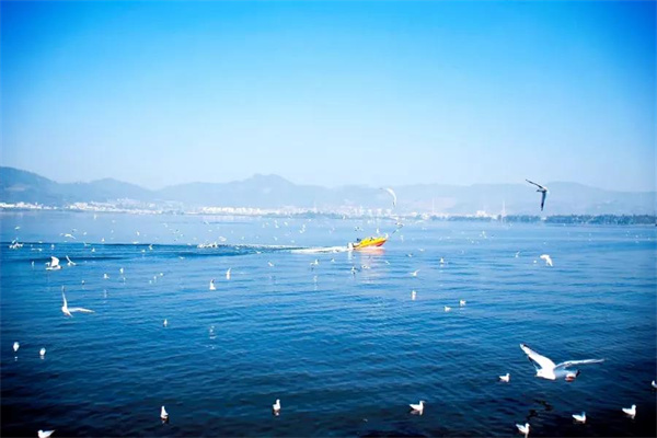想偷半日浮生閑？來(lái)昆明看天、看湖、看雪景|春城冬韻·美景