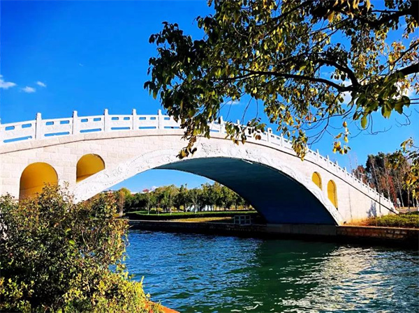 是時候去濕地公園轉轉了，水杉、白鷺、紅嘴鷗……多彩生物已上線！